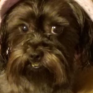 Meet your Posher, Linda